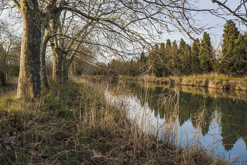 Le littoral et les plages de Vias à Vias