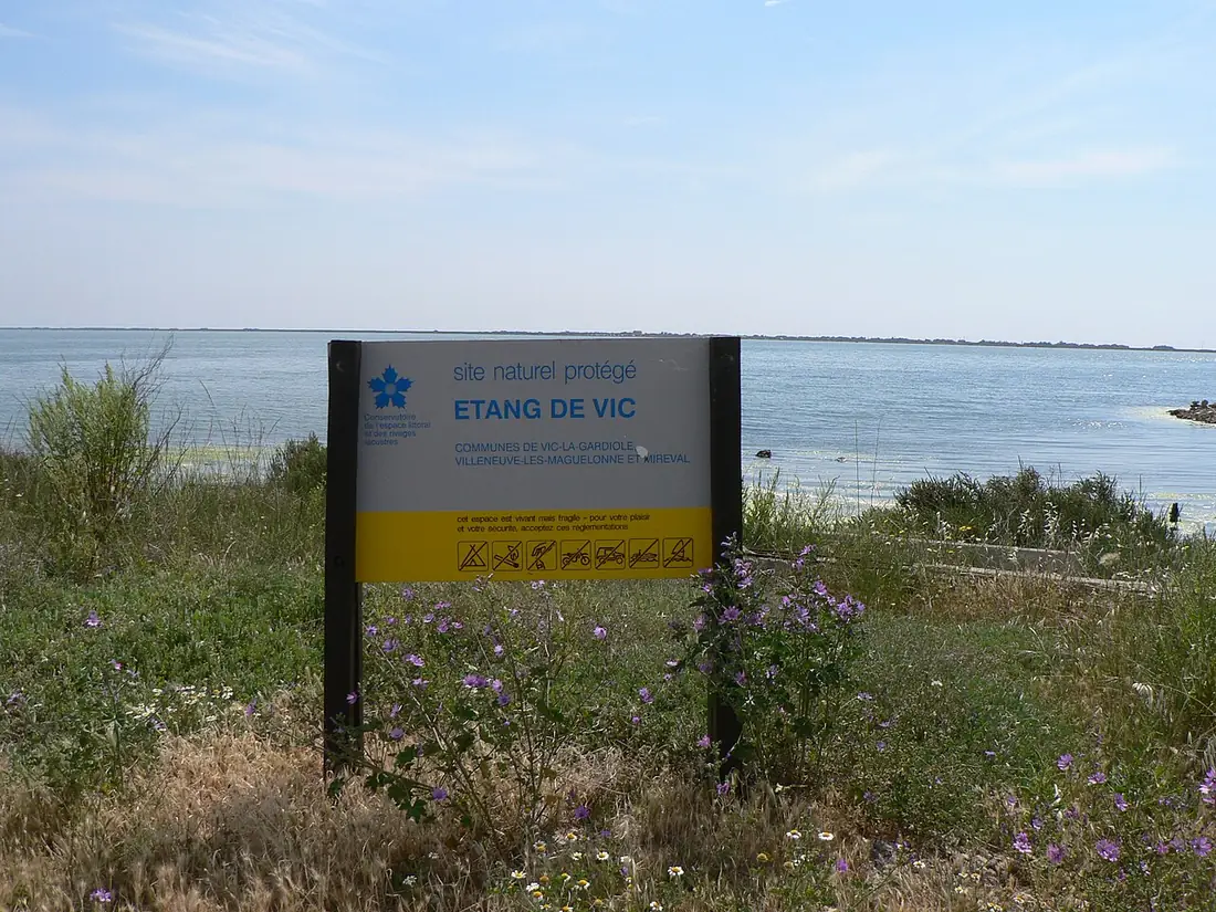 Bois des Aresquiers à Vic-la-Gardiole