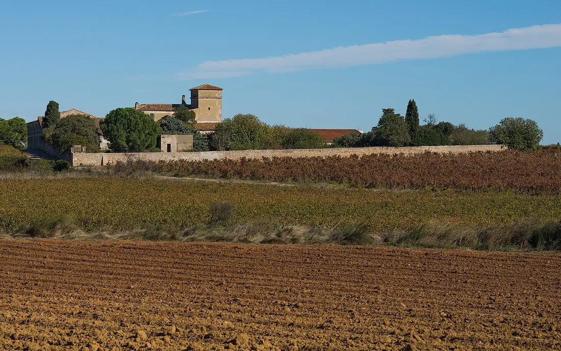 Cathédrale de Maguelone à Villeneuve-lès-Maguelone